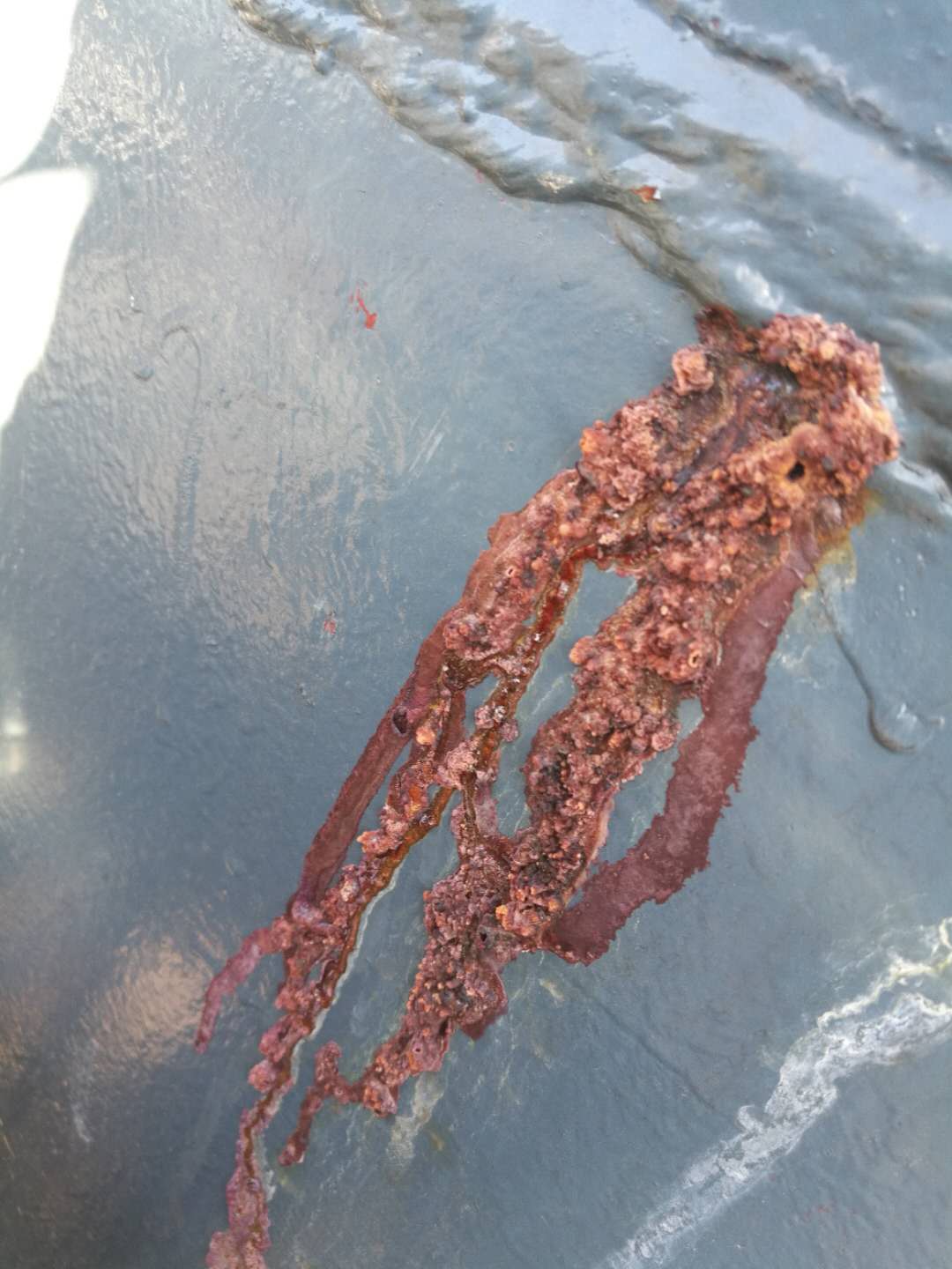 脫硫系統中碳鋼腐蝕分析 脫硫系統中碳鋼腐蝕分析