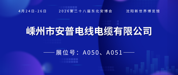 安普300.png